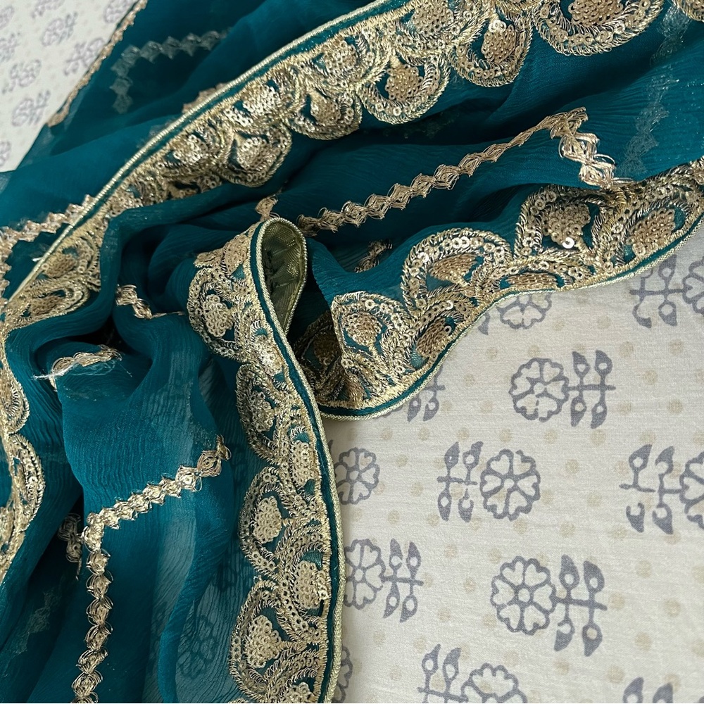 Sequin Embellished Chiffon Dupatta/Scarf - Picture 12 of 12